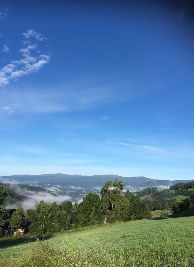 Naturforsthaus Ferienwohnung Fuer Hunde- Und Tierverbundene Menschen Preitenegg 외부 사진