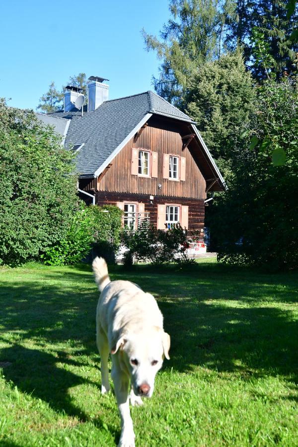 Naturforsthaus Ferienwohnung Fuer Hunde- Und Tierverbundene Menschen Preitenegg 외부 사진